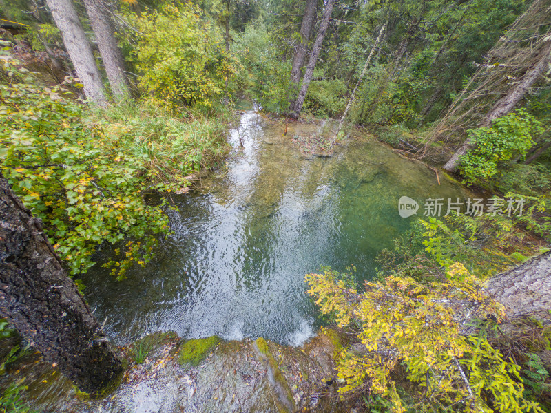 静谧的森林与湖景