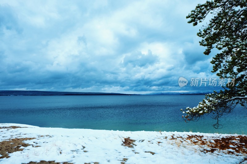 冬天森林公园湖边雪景