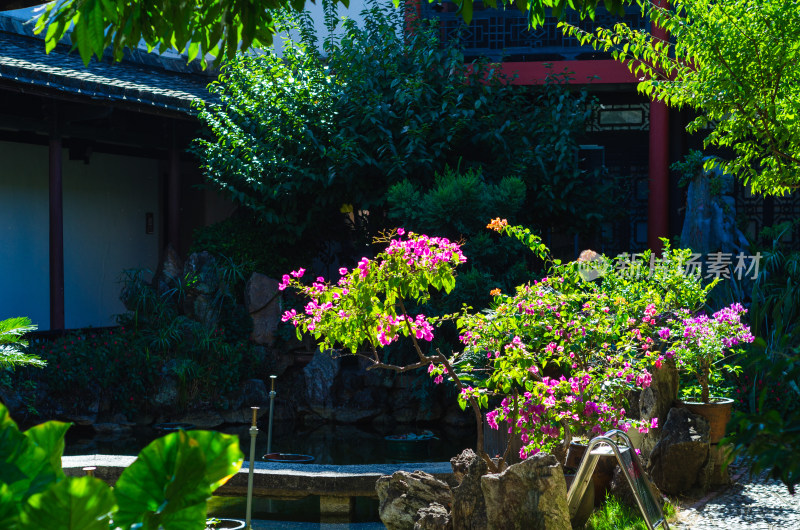 中式庭院花卉绿植景观