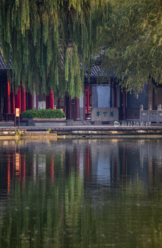 山东济南大明湖风景区自然景观与城市风光