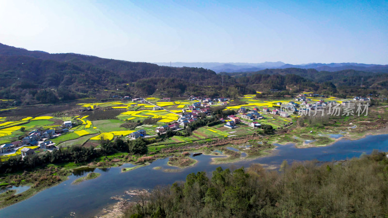 山川河流油菜花航拍