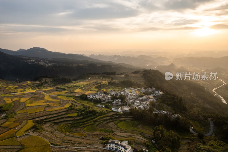 秋天贵阳高坡石门水稻梯田