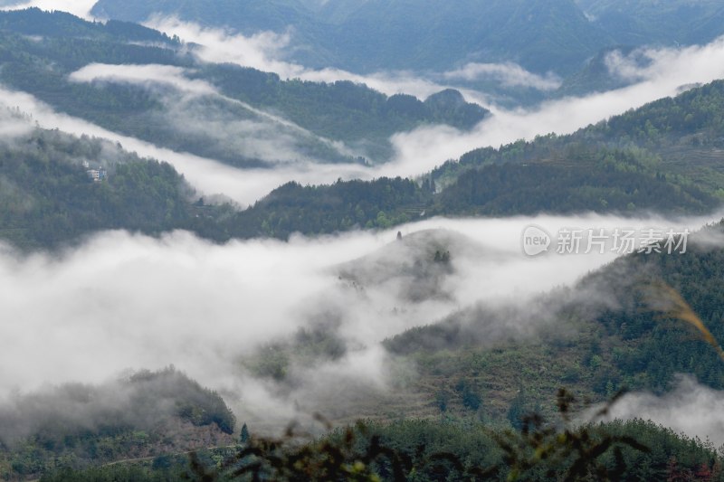 重庆酉阳：雾漫缭绕美青山