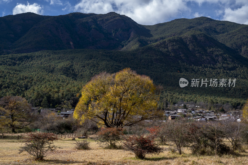 丽江冬天的风光