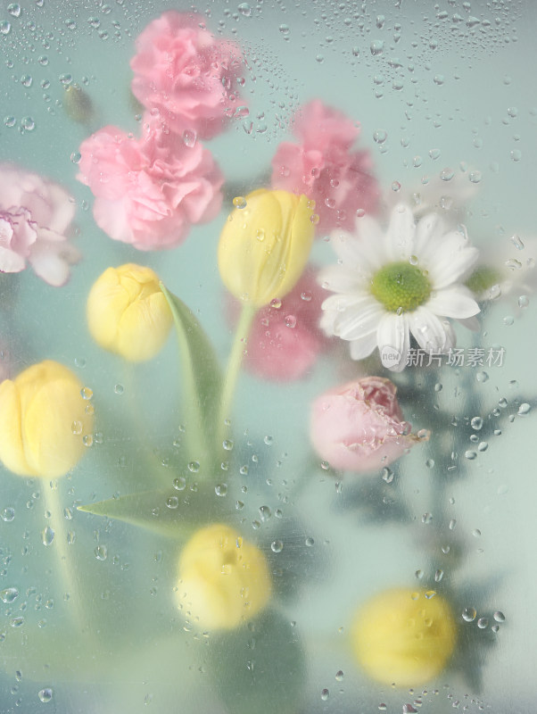 透过满是雨滴的玻璃窗户看五彩缤纷的鲜花