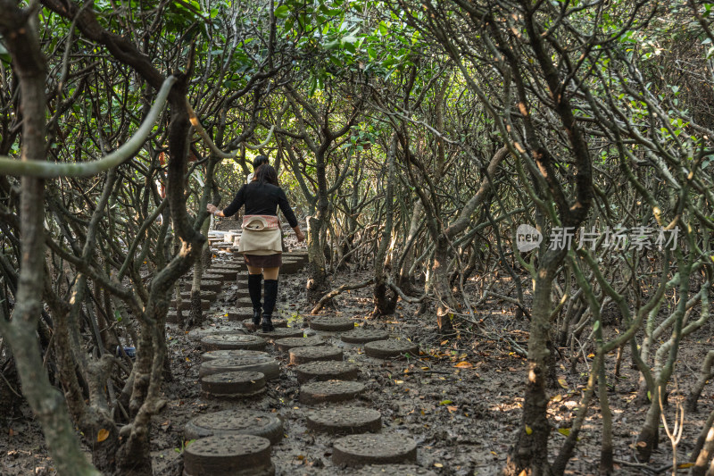 湛江高桥红树林保护区