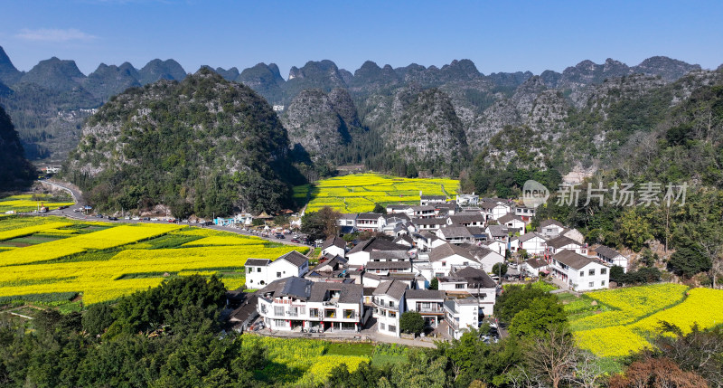 金色田园风光  油菜花海与村落