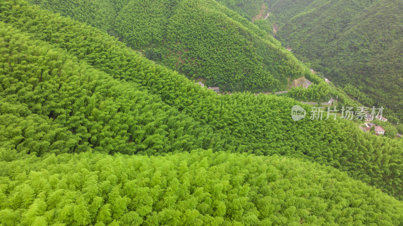 浙江省湖州安吉竹海竹山竹林航拍