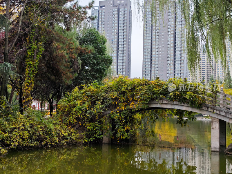 西安丰庆公园秋天风景