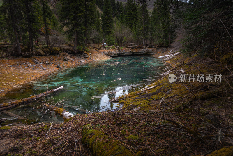 高原上的森林湖泊