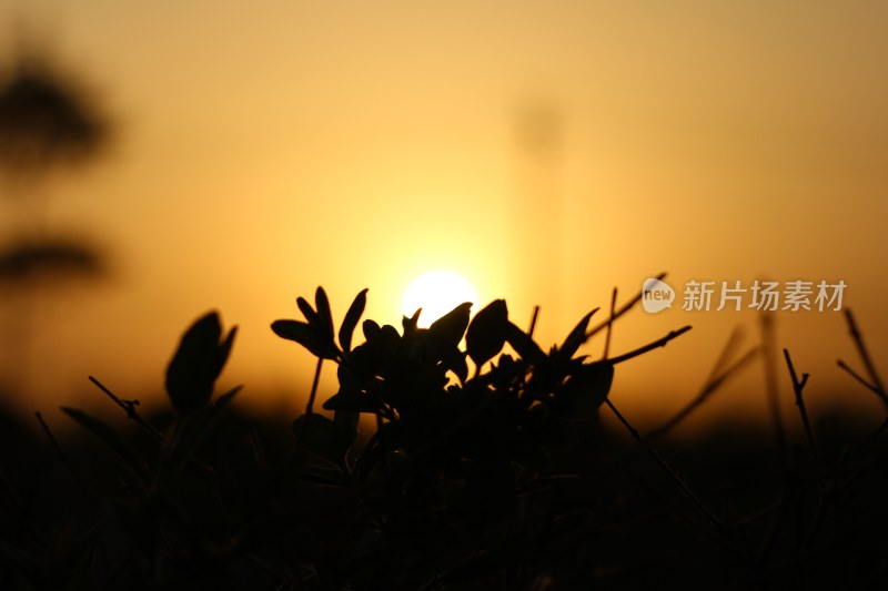 夕阳西下落日余晖