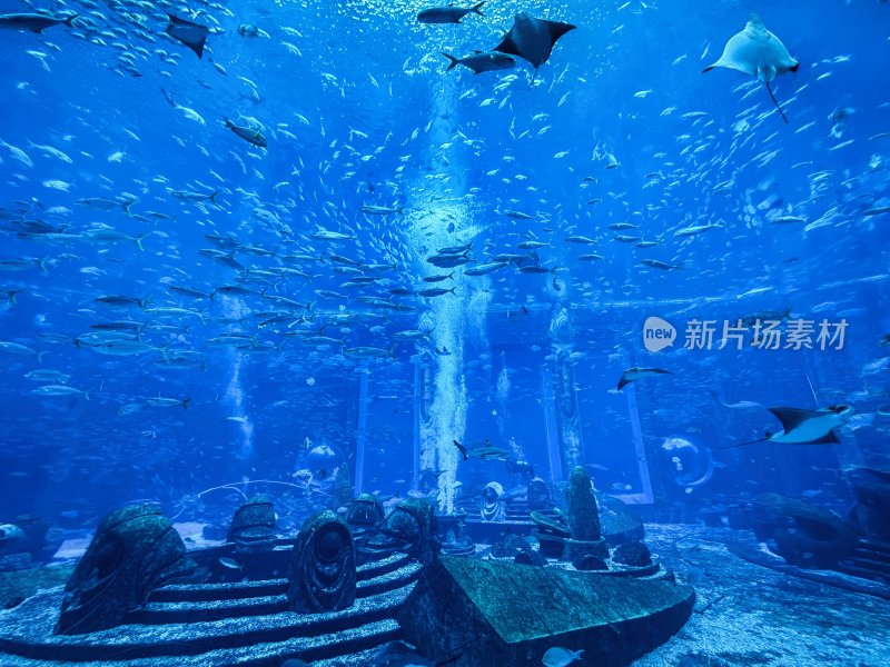 海南省三亚亚特兰蒂斯酒店的水族馆