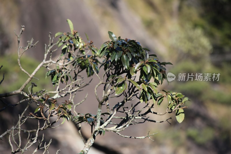 绝景在三清