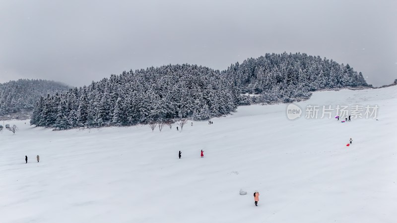 重庆酉阳：大雪纷飞赏雪忙