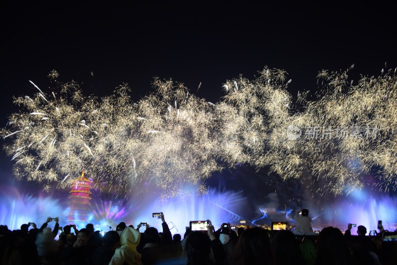 夜空中绽放的绚烂烟花