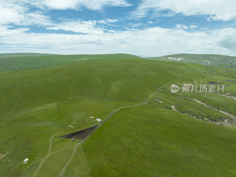 航拍夏季青海祁连山大草原