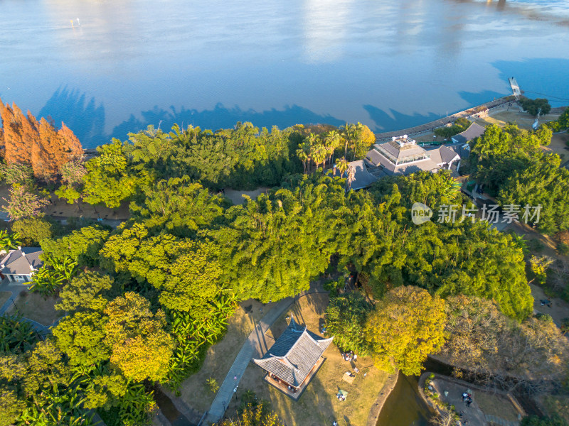 福州城市中色彩斑斓的树林全景