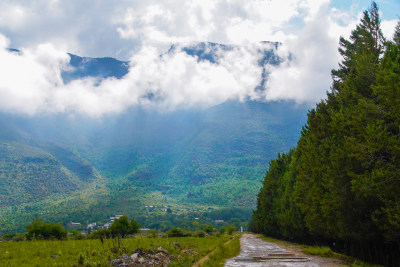 云雾缭绕的群山公路