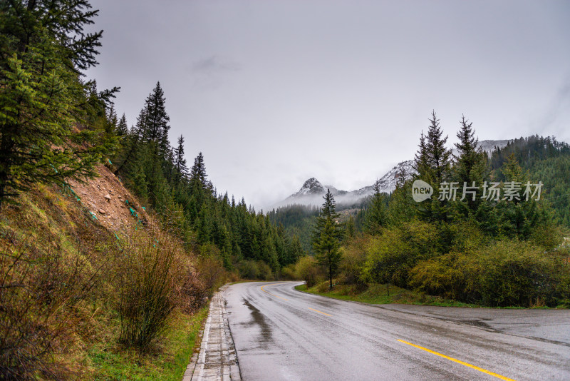 雪山森林里的公路