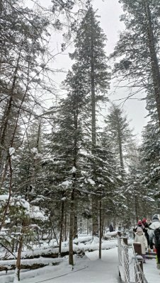 冬季吉林省长白山雪景