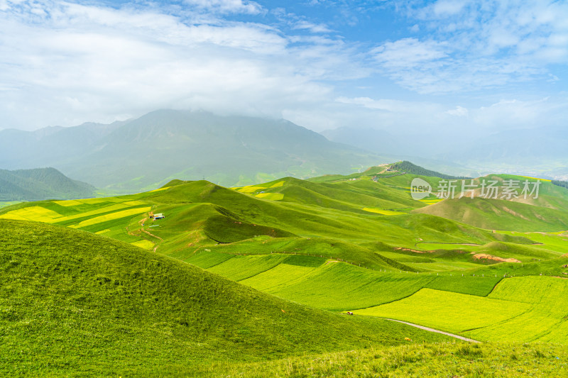 青海祁连县卓尔山景区，夏季起伏的高山牧场