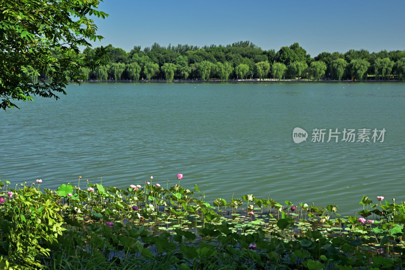 河北省石家庄市太平河