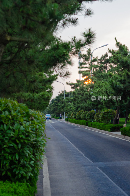 青岛八大峡旁的公路