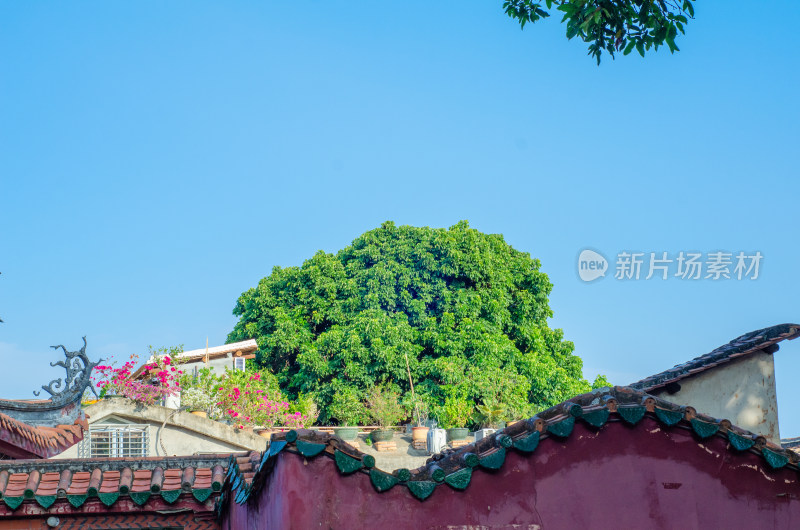 泉州开元寺墙外风景