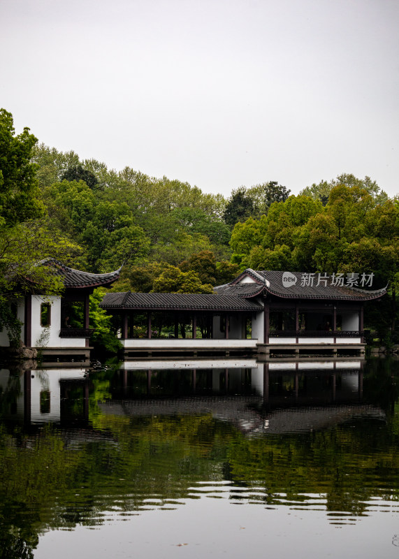 杭州西湖曲院风荷玉带桥自然山水景观