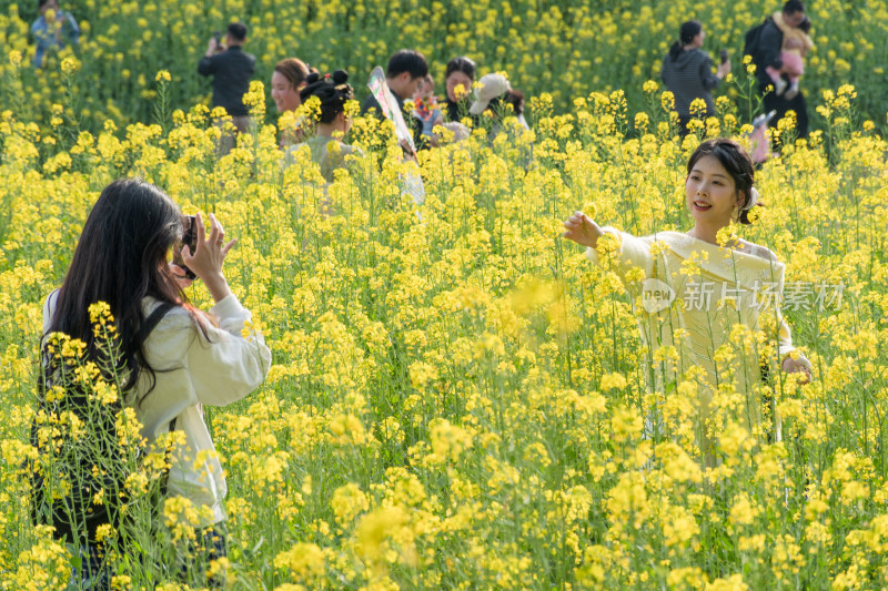 福州花海公园女孩在油菜花田拍照场景