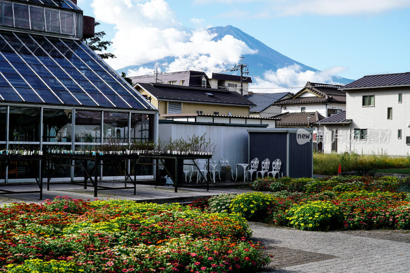 日本山梨县富士山河口湖夏天宁静的湖光山色