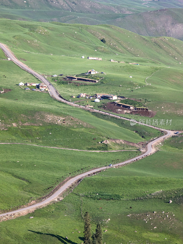 夏天新疆伊犁，绿色大草原上一条路和房子