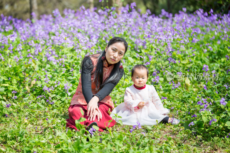 妈妈与宝宝坐在花丛里赏花 二月兰
