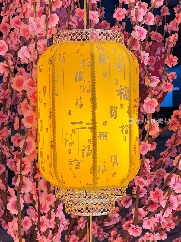 春节里好看的花灯灯笼装饰