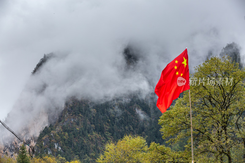 秋天树林云雾山峰