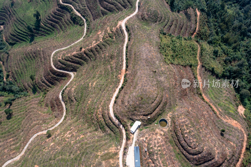 山坡上的梯田 经济作物种植基地