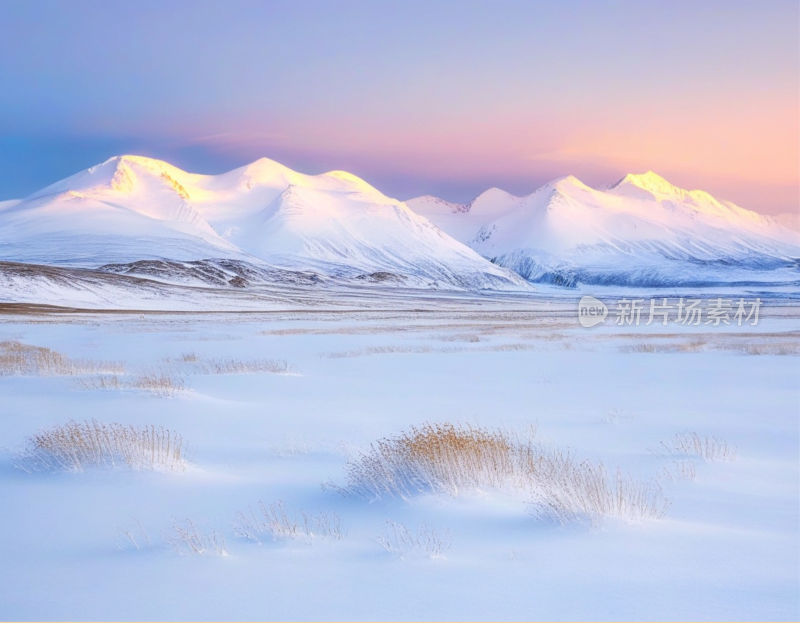 高山雪地