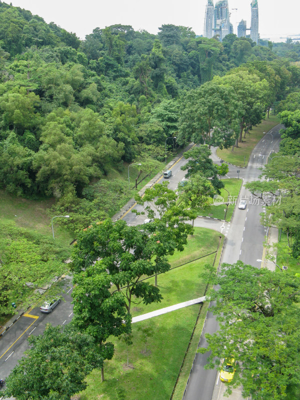 新加坡徒步路线 南部山脊