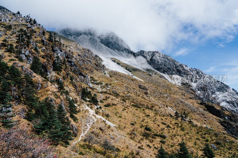 丽江玉龙雪山蚂蝗坝