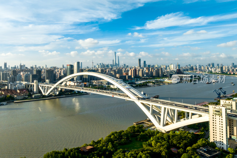 上海世博文化公园 申园 卢浦大桥 黄浦江