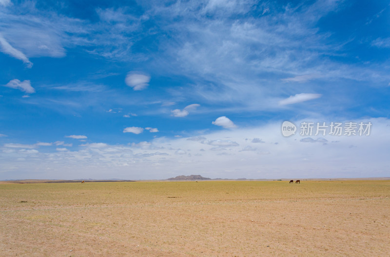 内蒙古巴彦淖尔温根塔拉旅游景区草原牧场