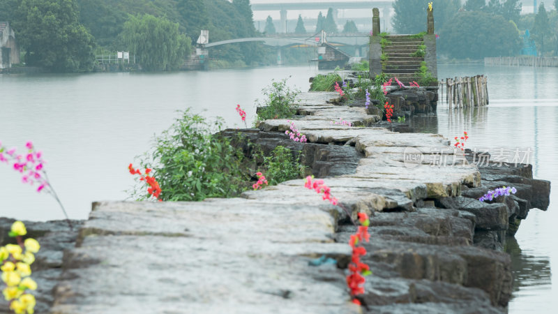 绍兴江南水乡避塘风景