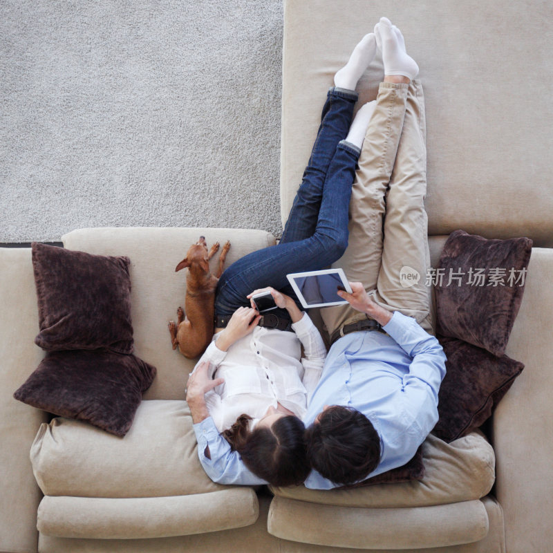情侣沙发上与宠物休闲使用电子设备