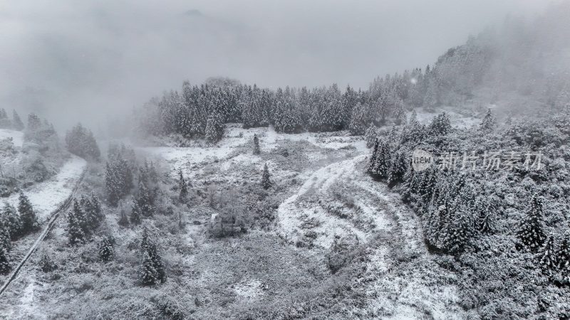 重庆酉阳：大雪纷飞赏雪忙