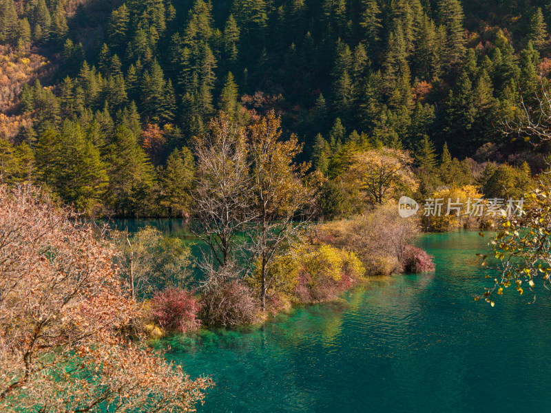 九寨沟秋景