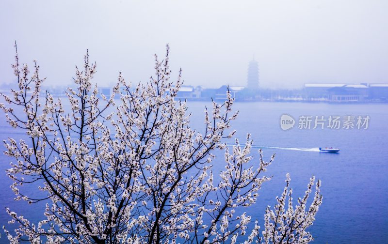 雁栖湖春季风光