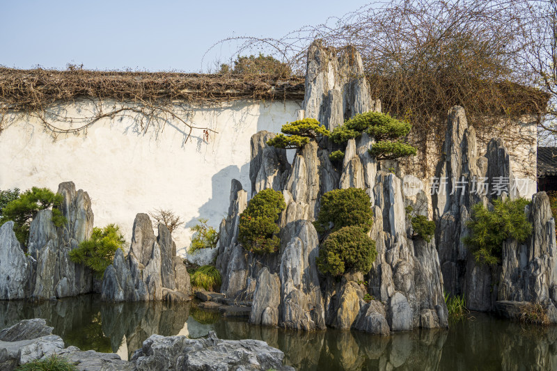 初春时节清晨无人的苏州园林留园