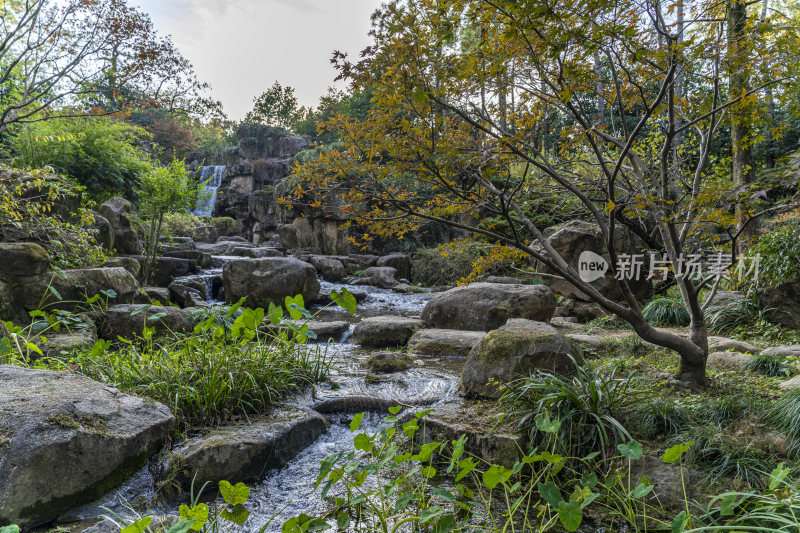 杭州西子湖畔杭州花圃风景