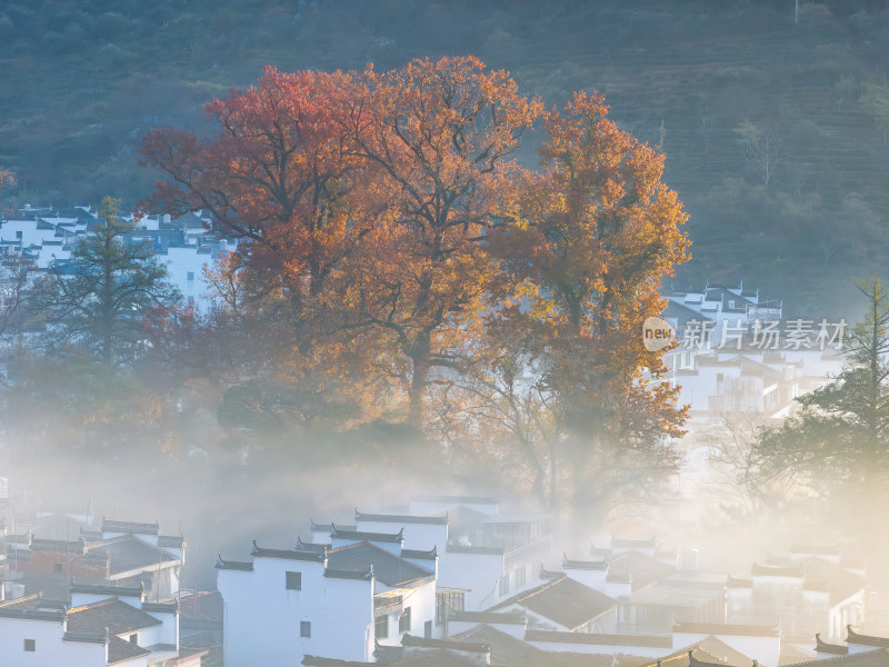 江西上饶婺源石城红枫网红景点日出晨雾航拍