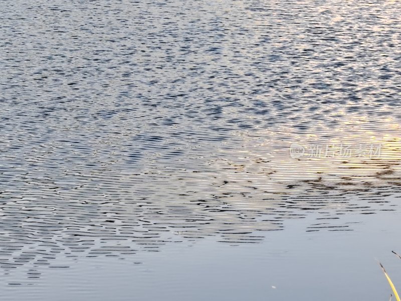 波光粼粼的水面风景